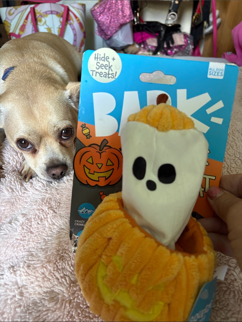 Bark Plush Halloween Pumpkin & Ghost Dog Toy squeaker with crinkle sounds